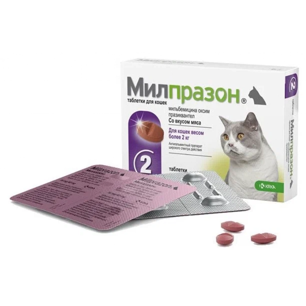 Таблетки против кошек. Милпразон для кошек таблетки 2*16мг/40мг (МШ). Милпразон 16 мг/40 мг. Милпразон для кошек 2х16мг/40мг. Мильпразон таблетки для котят уп 2таб.