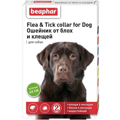 Beaphar Ошейник от клещей и блох для Собак  Зелёный Кот и Пес, онлайн зоомагазин и ветаптека