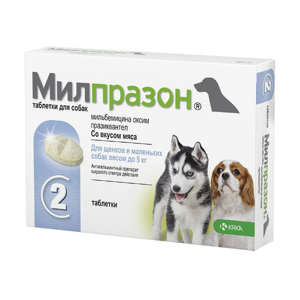 KRKA Милпразон Таблетки от гельминтов для щенков и собак до 5кг Кот и Пес, онлайн зоомагазин и ветаптека