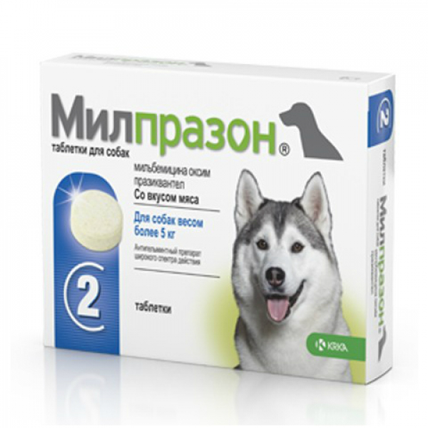 KRKA Милпразон Таблетки от гельминтов для собак более 5кг Кот и Пес, онлайн зоомагазин и ветаптека