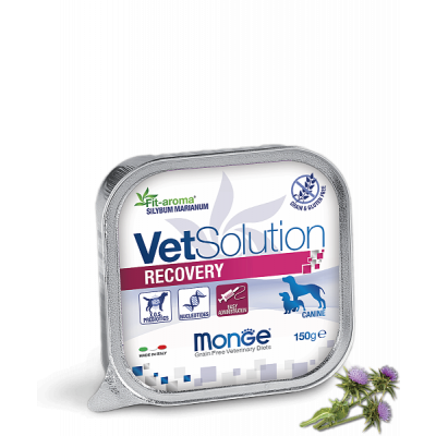 Monge Vetsolution Recovery Корм для собак после операций и травм Кот и Пес, онлайн зоомагазин и ветаптека