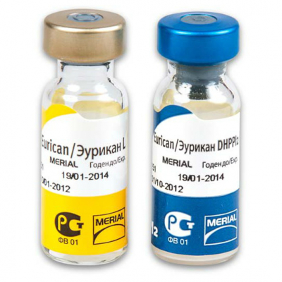 Эурикан DHPPi2-L двухкомпонентная вакцина для собак, 1 доза + растворитель Кот и Пес, онлайн зоомагазин и ветаптека