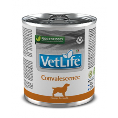 Farmina N&D Vet Life Convalescence Консервы для собак Кот и Пес, онлайн зоомагазин и ветаптека