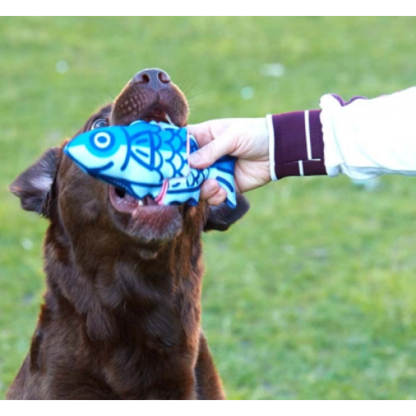Japan Premium Pet Игрушка для собак в форме рыбы с пищалкой